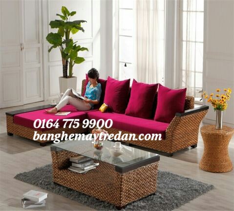 
								Salon lục bình chất lượng cao LB64