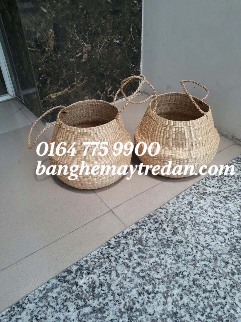 
								Túi trồng cây bằng cói SG14