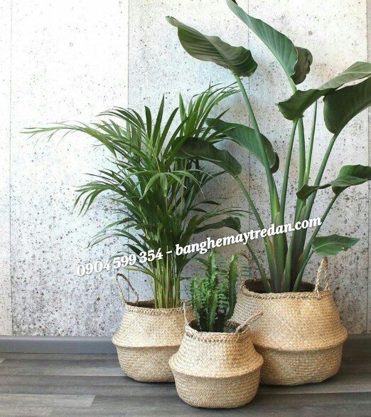 
								Túi trồng cây bằng mây tre đan SG13
