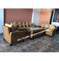 Salon lục bình đẹp LB86
